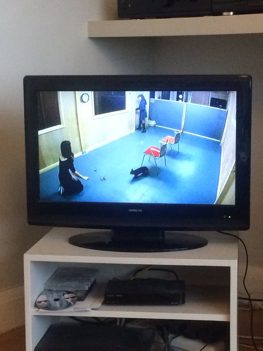 grace_mc_slt's tweet photo. Watching scientists doing Mary Ainsworth’s famous #strangesituation test on some #cats on TV atm. Aparantly cats aren’t securely attached... you don’t say.... #psychology #attachmenttheory #slt #slt2b #cats #attachment https://t.co/wZRJ0Xiq1i