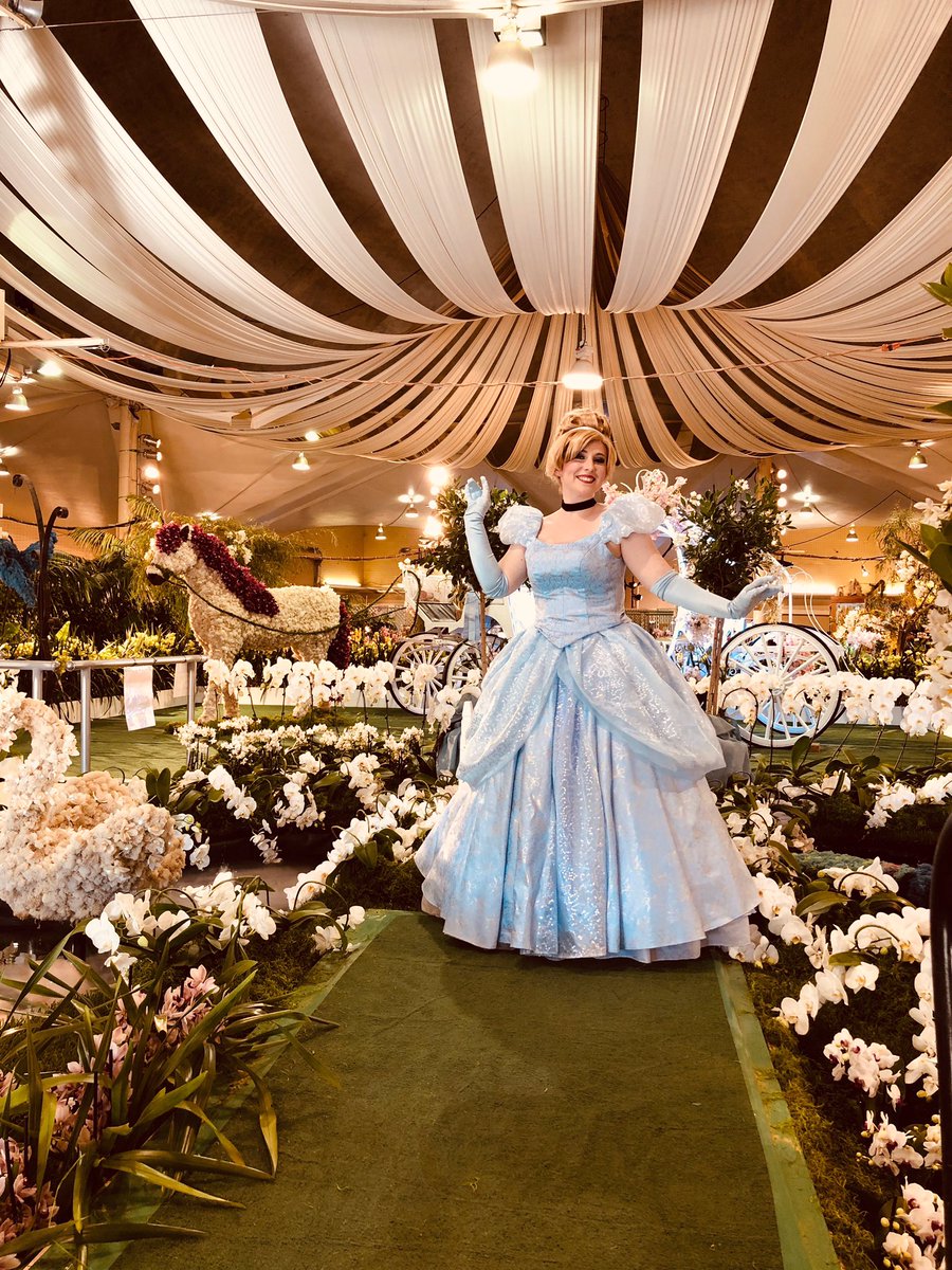 SBOrchidShow's tweet photo. A dream is a wish your heart makes... 🥿 💐 #sbios #cinderella #orchids https://t.co/wKWSKJny0r