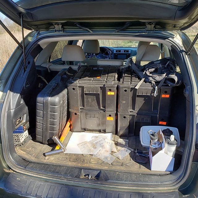 Loving the @frontrunneroutfitters boxes for #archaeology gear.  I've never been so organized in the field. #subaruoutback ift.tt/2u8rzg4