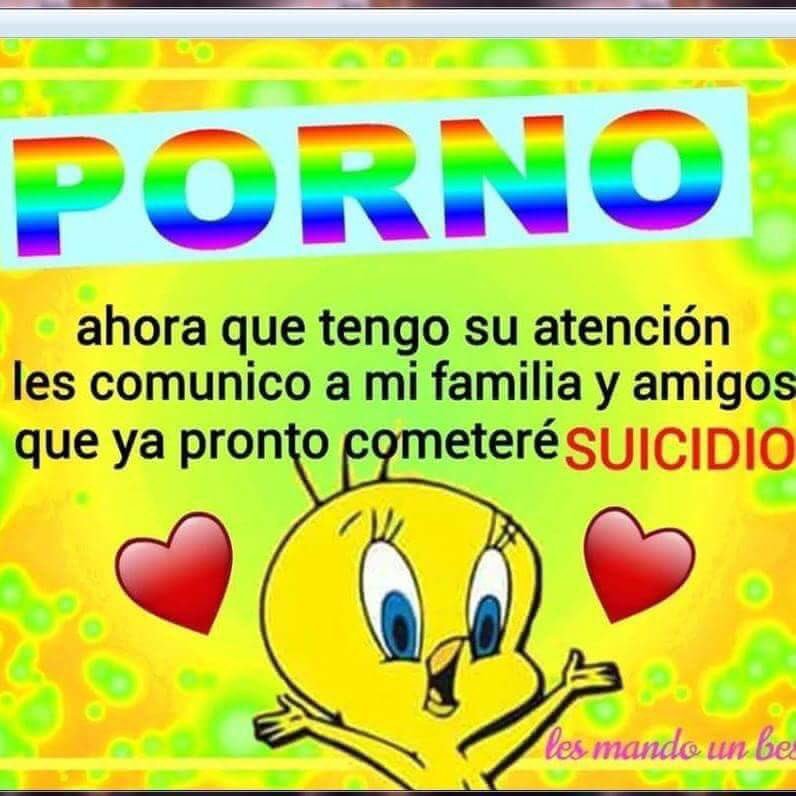 memes feos yo qué sé (@memefeos) on Twitter photo 