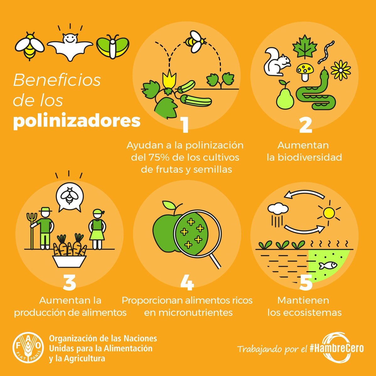 La polinización es esencial para la vida en nuestro planeta.

🐝 🌺🦇🌻🐦🌷🐭

Las #abejas y otros polinizadores son clave para la producción de nuestros alimentos, para la conservación de la #biodiversidad... y mucho más👇
