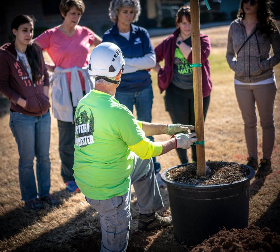 CityofPhoenixAZ's tweet photo. Sign up to volunteer as a #CitizenForester and become a tree advocate for your community: https://t.co/xWIEOLkg2U  @MyVolunteerPHX   #PlantASolution #UrbanForest #TreeShade https://t.co/A8lQrnafMV