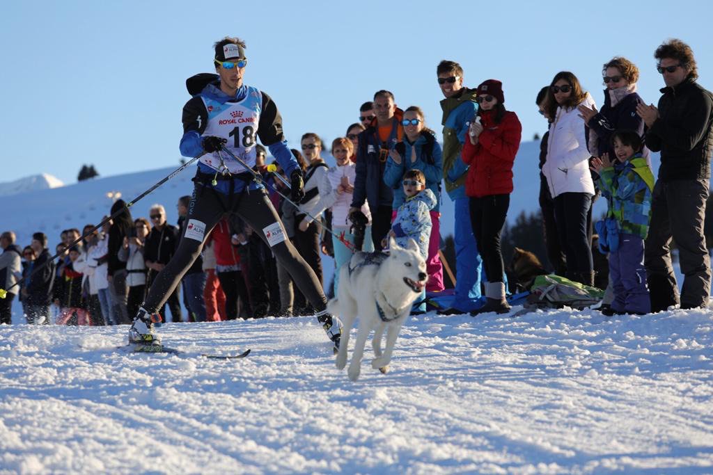 lekkarod's tweet photo. #lekkarod2019 c’est parti devant une foule de spectateurs venus encourager les #attelages ! Départ toutes les 2 minutes pour le ski joring et toutes les minutes pour les #traineaux_a_chiens pour 30 km de parcours
@lessaisies https://t.co/BjxluUWZ0b