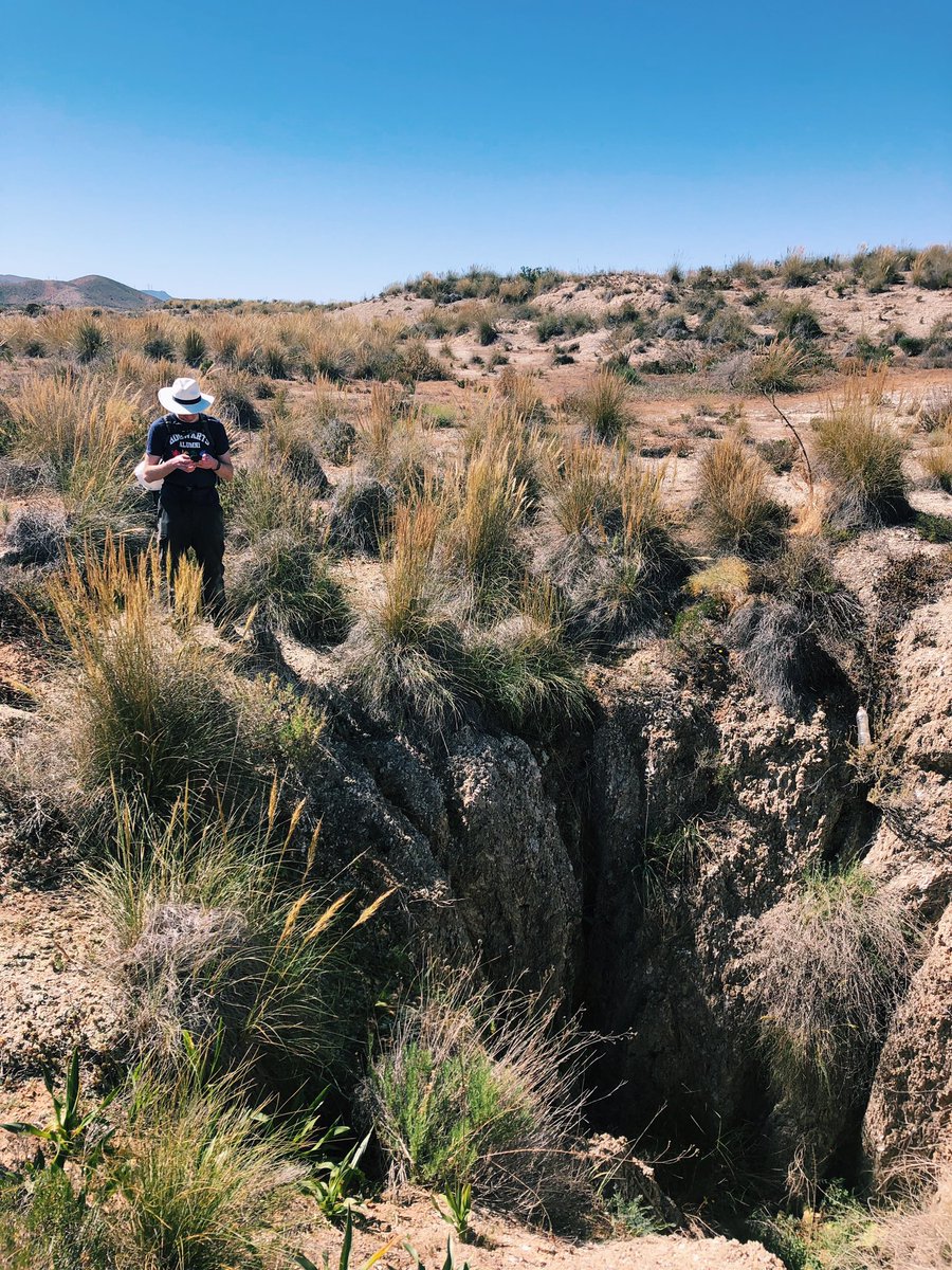 RobynFSJ's tweet image. First day back in Almeria complete! Karst day was a success #hullameria2019 #ggeontour
