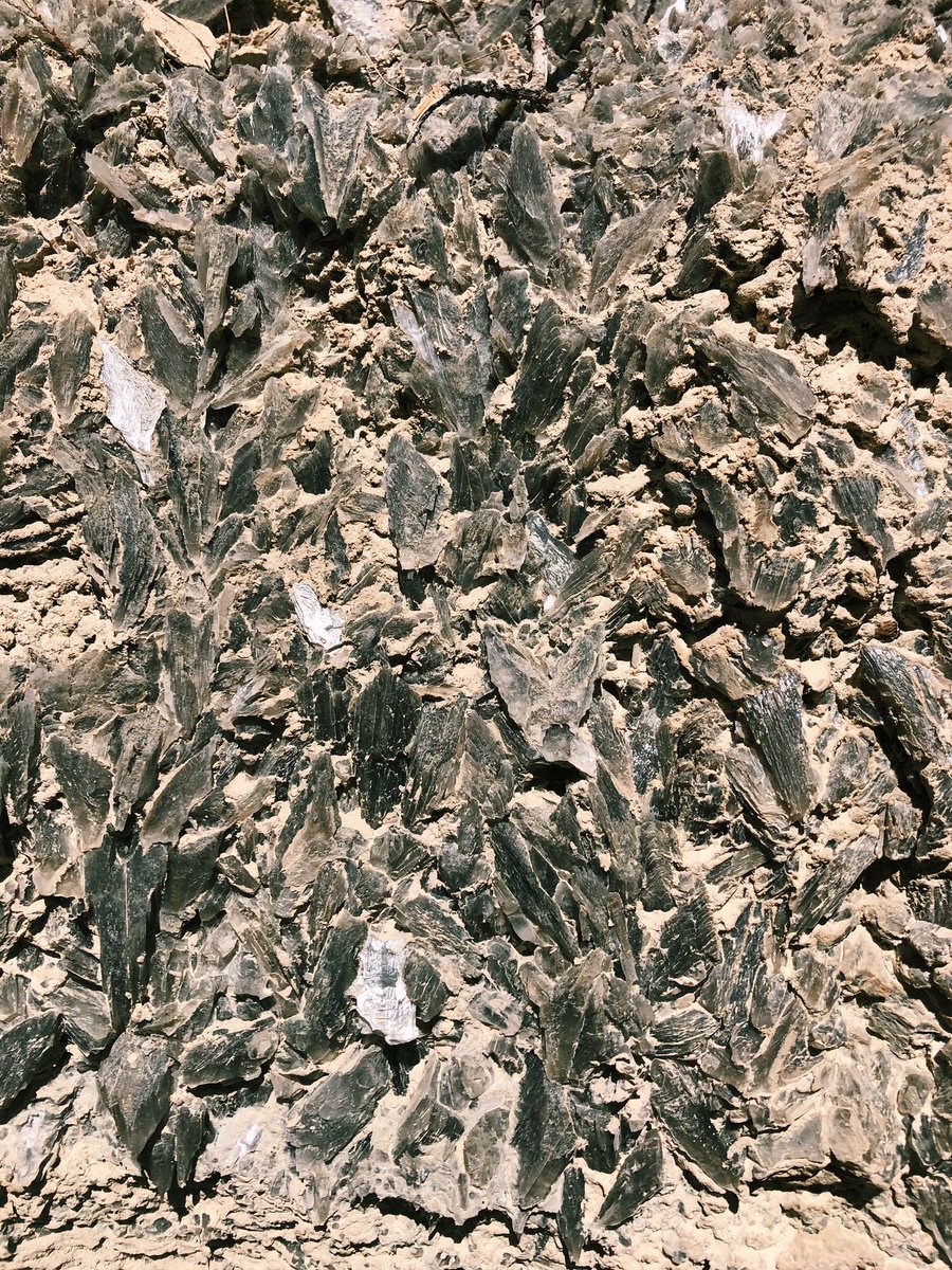 RobynFSJ's tweet image. First day back in Almeria complete! Karst day was a success #hullameria2019 #ggeontour