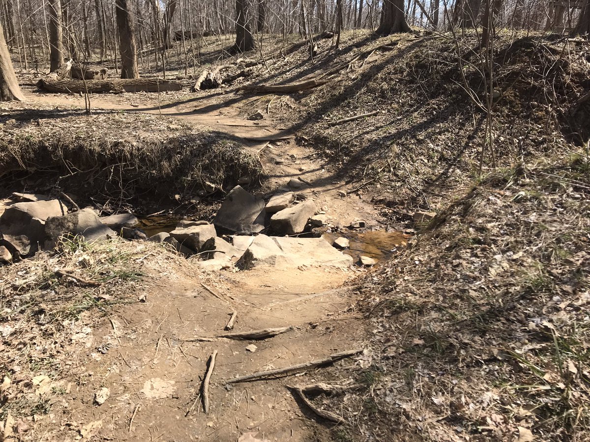 _willash's tweet photo. Love these home trails! 

6 weeks until @thenorthfaceECS #ECSDC. #TrailRunning #PotomacHeritageTrail https://t.co/RtlFSeF5n8