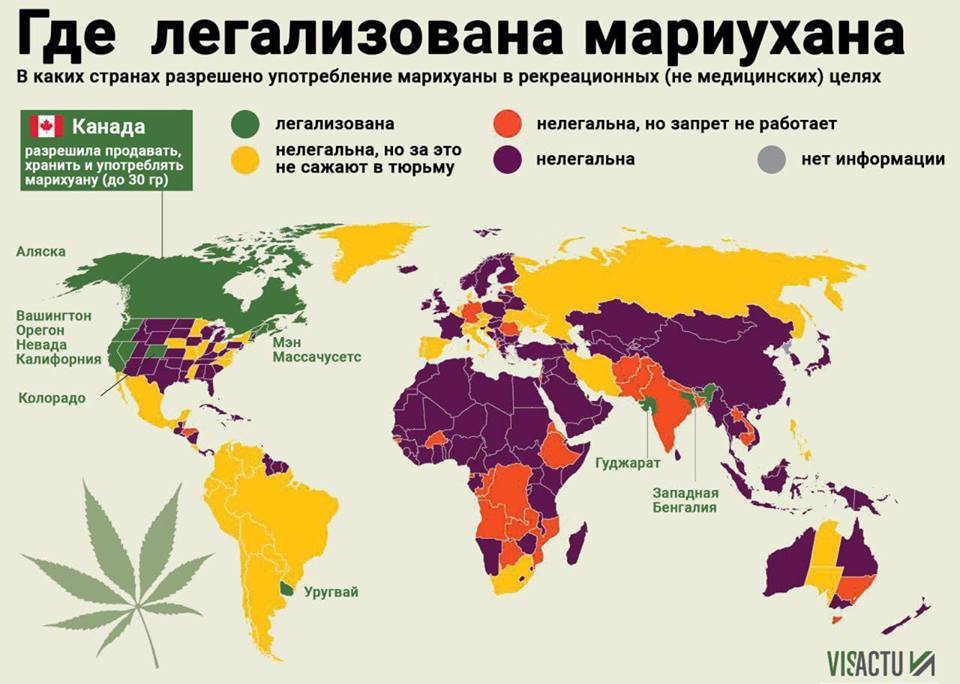 Страны где можно выращивать коноплю Страны где можно выращивать коноплю наркотики медикаменты