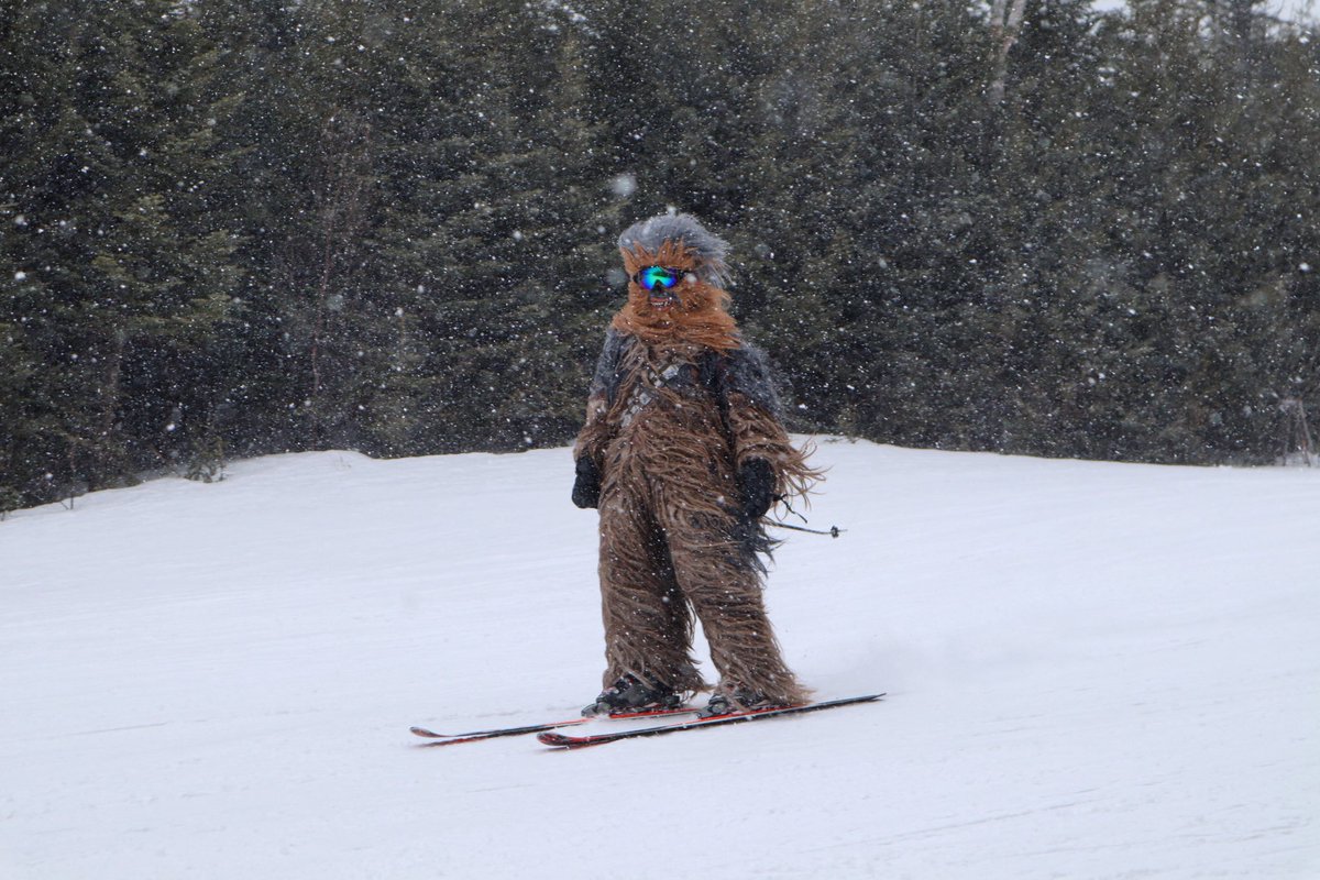 bretton_woods's tweet photo. “Laugh it up, fuzzball.”- Han Solo #dayatthewoods #marchsnow #snowwars https://t.co/e9uHTNIIps