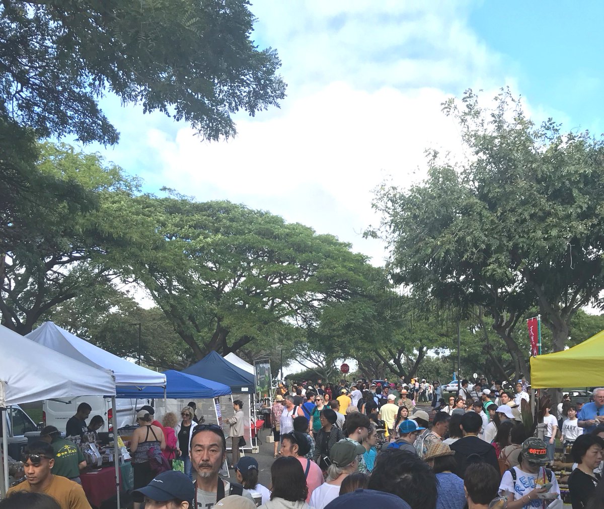 Grab a Hui and check out the 🍍KCC farmers market! 
#DriveHui #HowWeHui
---
#carshare #carrental #hawaii #luckywelivehawaii #hilife #hawaiilife #oahu #aloha #funwithfriends #lethawaiihappen
#Hawaiisbestkitchens #Hawaiifoodie #travelfoodie #ハワイ #ハワイ旅行 #farmersmarket