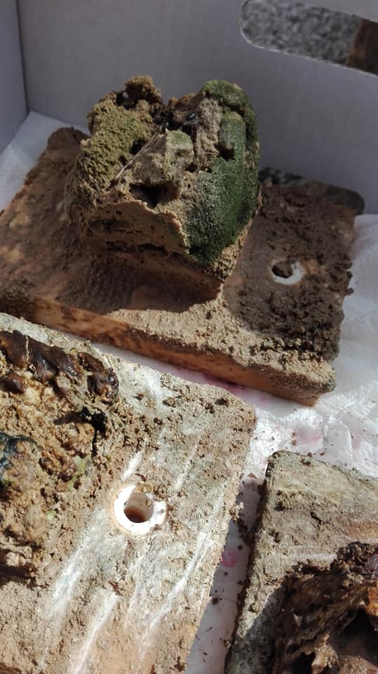 GalProjekt's tweet photo. After 1 year of #fieldwork our research on #tufa forming 💦💧on the area of @NPKrka is going to #digital stage. We will produce very high-resolution digital models 📷🖥️ and determine patterns in tufa forming. 🏞️

#skradinskibuk #SustainableDevelopment #krka #research https://t.co/GFCTjc2eId