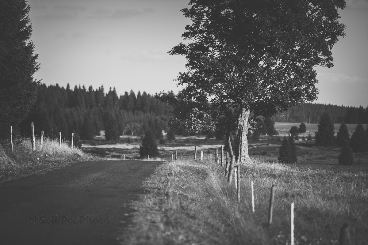 The road

#darkcountry #krusnehory #sever #bozidar #ryzovna #north #countryside #blackandwhitephotography #CzechRepublic #Czechia