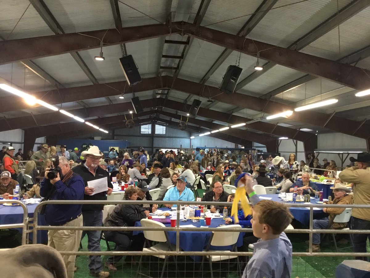 brianyanta's tweet photo. #GoliadCountyFair19 selling blue ribbon lots at the auction https://t.co/WMUlsGtphU