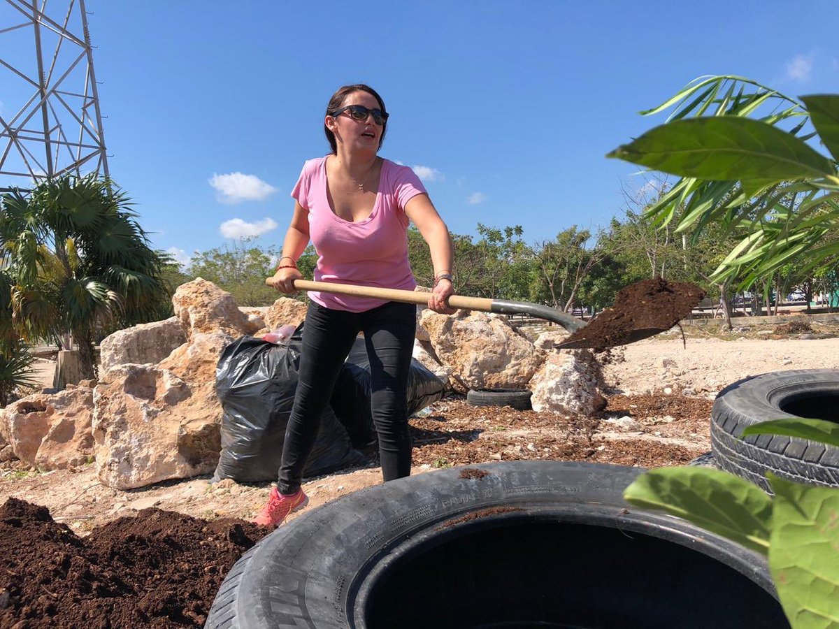 AytoCancun's tweet photo. En #Cancún trabajamos para beneficio de las familias a través de la recuperación de espacios. Hoy @ServPublicosBj y más de 100 trabajadores administrativos, se sumaron a las labores de reforestación y remozamiento que se realizan en la Av. #ChacMool. ♻️👷🏼‍♂️🌳

#CancúnTierraDeTodos https://t.co/ocZjsf6OZE