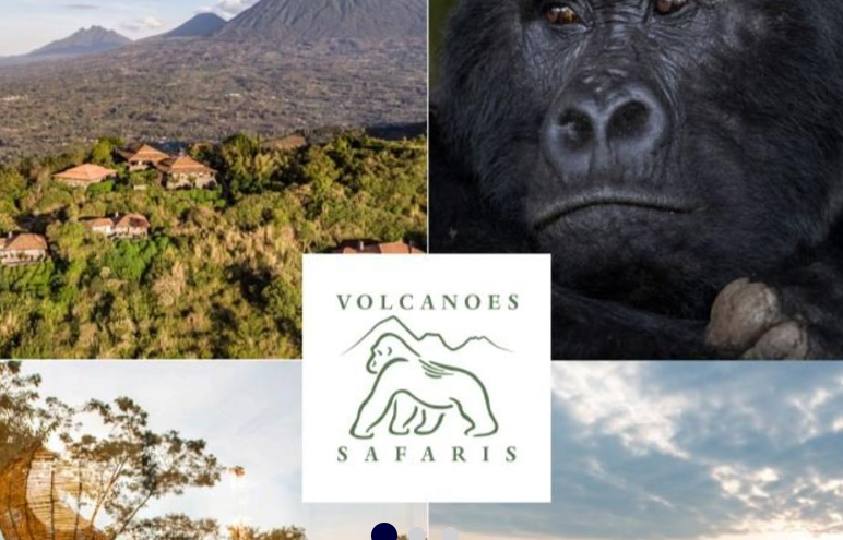 ExplorersClub's tweet photo. #ECAD2019 #LiveAuction Item: 10-Day Safari in #Uganda for Two, donated by @VolcanoesSafari 

Click here to learn more and place your bid: https://t.co/FJJTQhPFj2

#virunga #bwindipark #expedition #adventure #travel https://t.co/xNyJyPuhFy