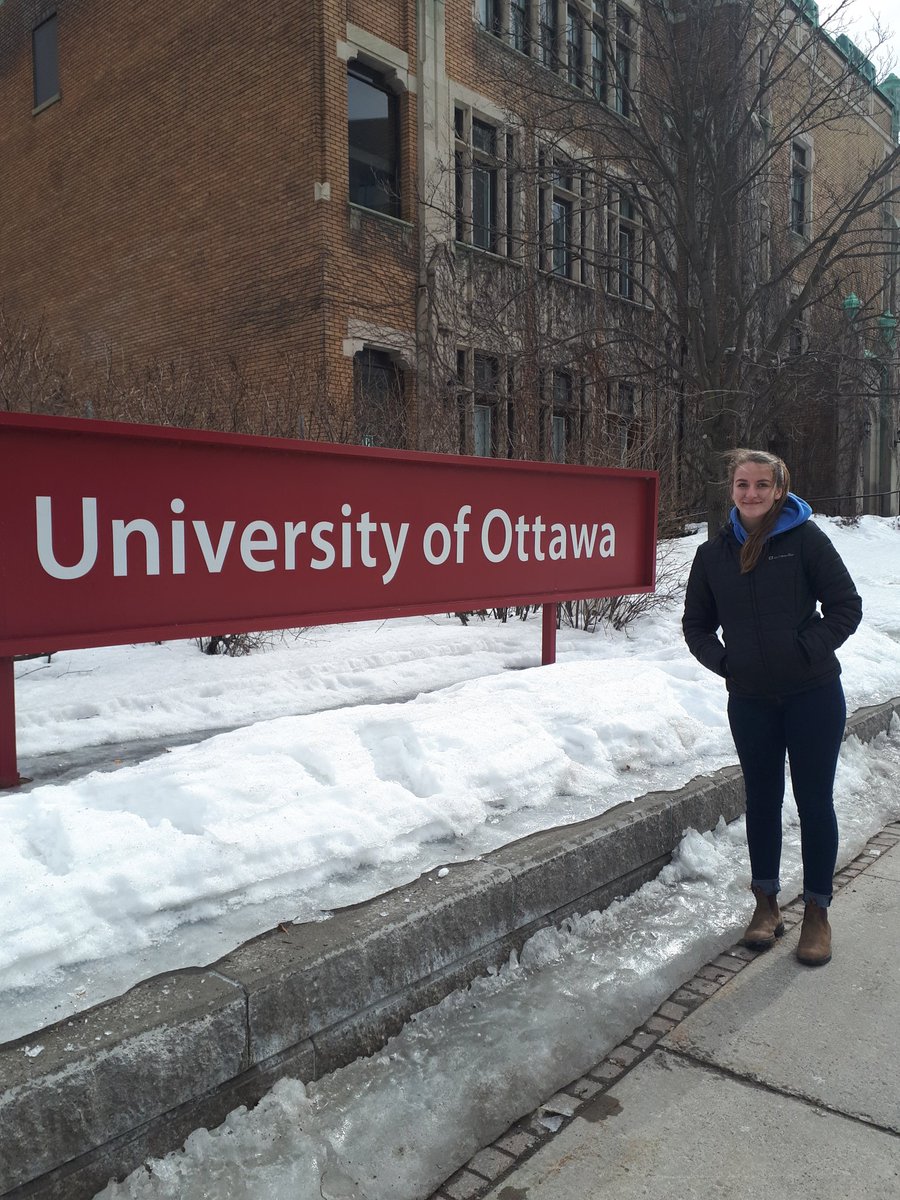 Marnie Lamb (MarnieLamb1) Twitter