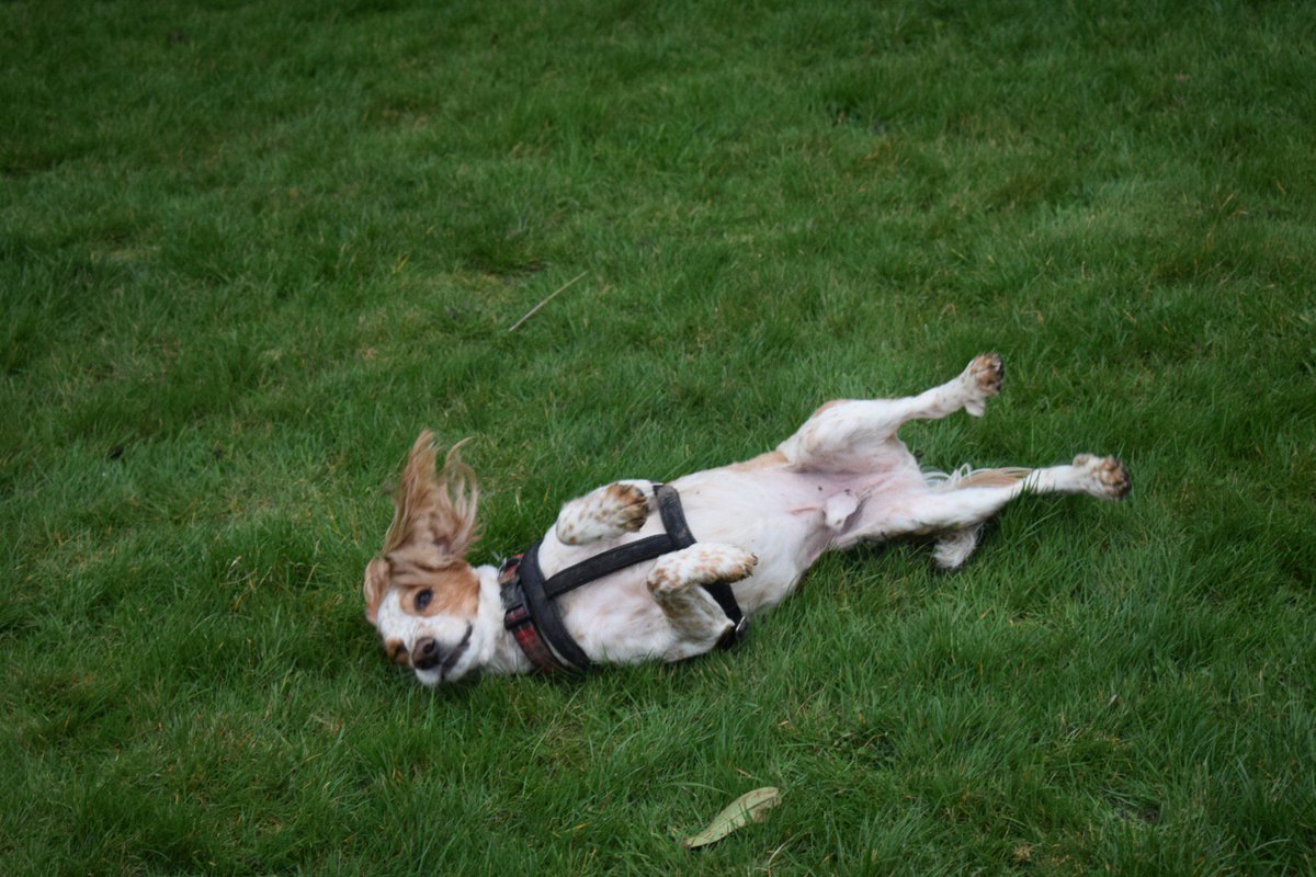 Alex Barnham tweet media