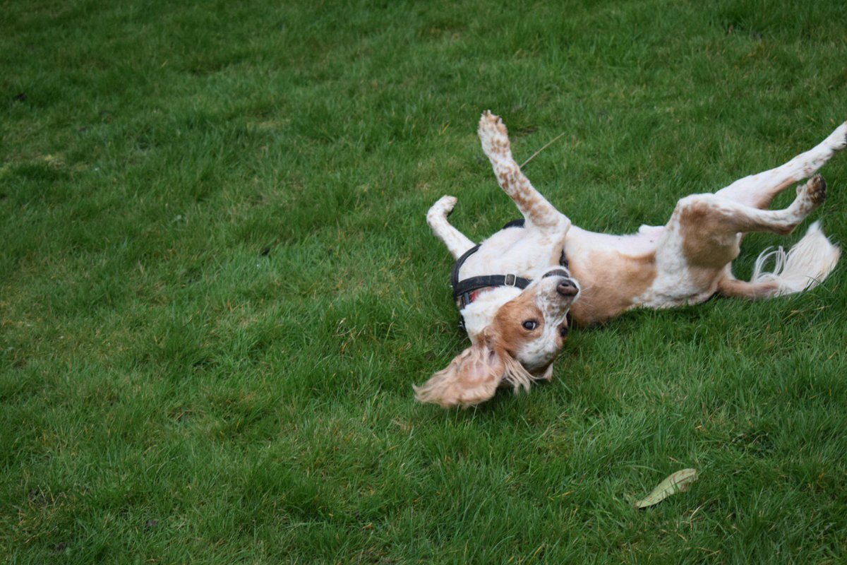 Alex Barnham tweet media