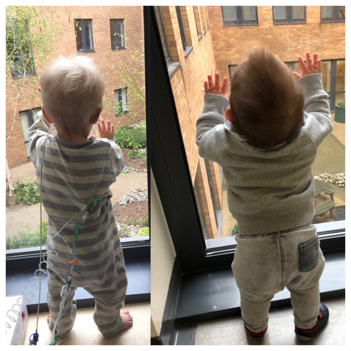 JessesAnchor's tweet photo. Just like his big brother!! #norfolkandnorwich #brothers 💙⚓️💙 https://t.co/iSIrgJV1gN