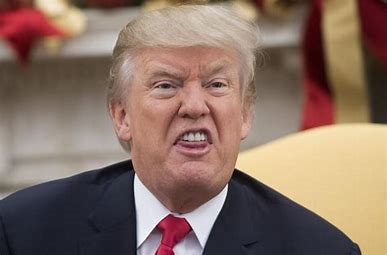 RealMuckmaker's tweet photo. Mucksters, You are driving your nice new sports car at 90 MPH and all of a sudden these two walk on to your road, what in the world do you do? https://t.co/4d85rhf3U0