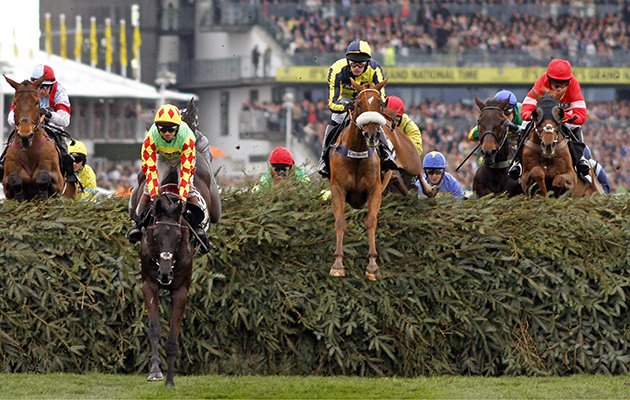 mylittletip's tweet image. 🏇🏼GRAND NATIONAL is only 3 weeks away now and ante post selection will be posted Sunday morning. 

🔄Retweet and will pick 20 at random to get the selection first before its tweeted.