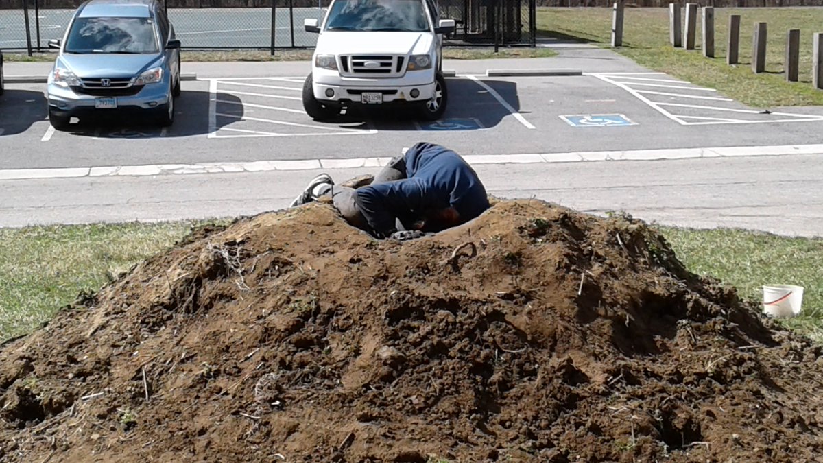 Mrs. Spencer (@spencersstem6) on Twitter photo After planting all morning at ST. Luke's the club still had enough energy to add more soil to our raised bed. They also had time to dig a "gopher hole" to have fun in. You know the saying "All work and no play ......." <a href="/CentralMidaacps/">CentralMiddleaacps</a> <a href="/kristy_kfidyk/">Mrs. Fidyk</a> <a href="/STEMaacps/">AACPS STEM Office</a> After planting all morning at ST. Luke's the club still had enough energy to add more soil to our raised bed. They also had time to dig a "gopher hole" to have fun in. You know the saying "All work and no play ......." <a href="/CentralMidaacps/">CentralMiddleaacps</a> <a href="/kristy_kfidyk/">Mrs. Fidyk</a> <a href="/STEMaacps/">AACPS STEM Office</a>