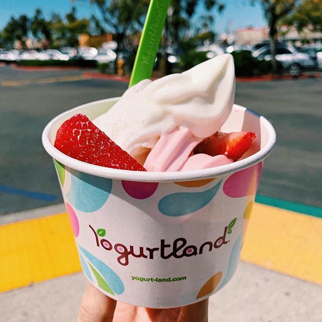 mmarcelandreas's tweet photo. 3/16/19 | βοΈπ¦π΄ - never not getting enough of icecream π! .
.
.
.
.
.
#absaremadeinthekitchen #eatclean #eatforabs #eattogrow #gesundessen #fitnessfood #instafit #instafood #socalblogger #picoftheday #fitfood #buzzfeedfood #foodisfuel #fitfam #iifym #β¦ https://t.co/nzdiYGQBfn https://t.co/UdFDz2d8iT