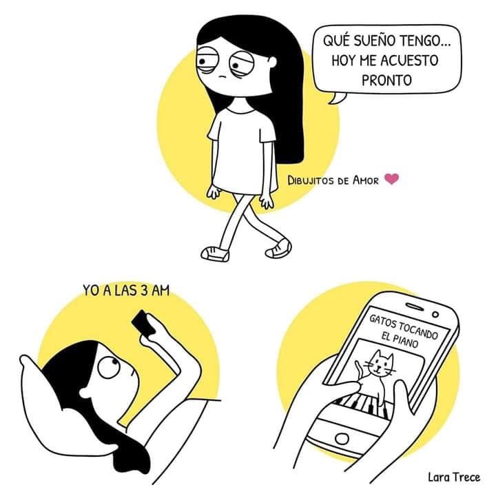 CatfecitoGazzu's tweet photo. https://t.co/A0mVEAKAT0