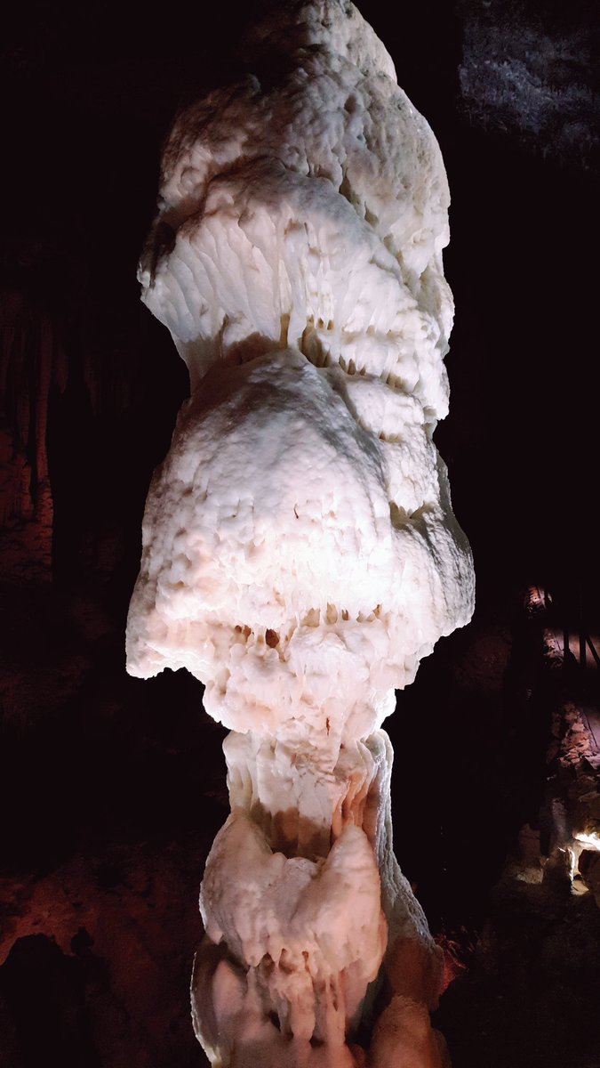 KatjaKomadina's tweet photo. Exploring Postojna Cave #postojnacave #postojnskajama #cavesystem #undergroundtrain #caveformations #slovenia #visitslovenia https://t.co/AD5PJHWwqI
