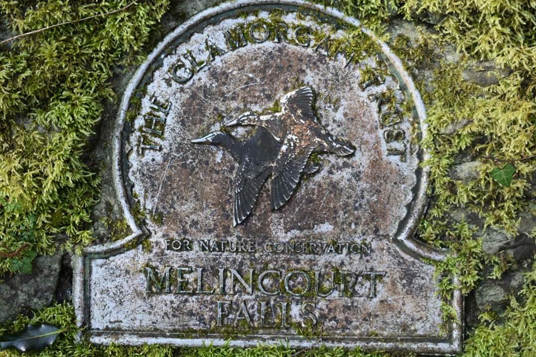 Walkthrough Neath Port Talbot tweet media