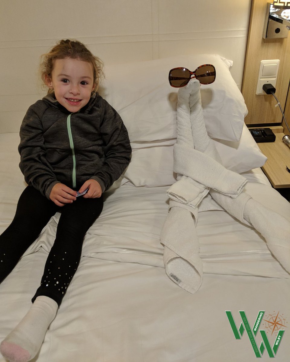 WanderingWilby's tweet photo. My daughter loves the towel art as much as I do! <3  #instatravel #sailing #caribbean #extraordinaryexplorer #vacationstogo #cruiserforlife #comeseek #msc #cruiseline #ocean #cruisers #travelpic #caribbeancruise #norwegiancruiseline #royalwow #choosecruise #towel #wanderingwilby https://t.co/DqBGitOMgO