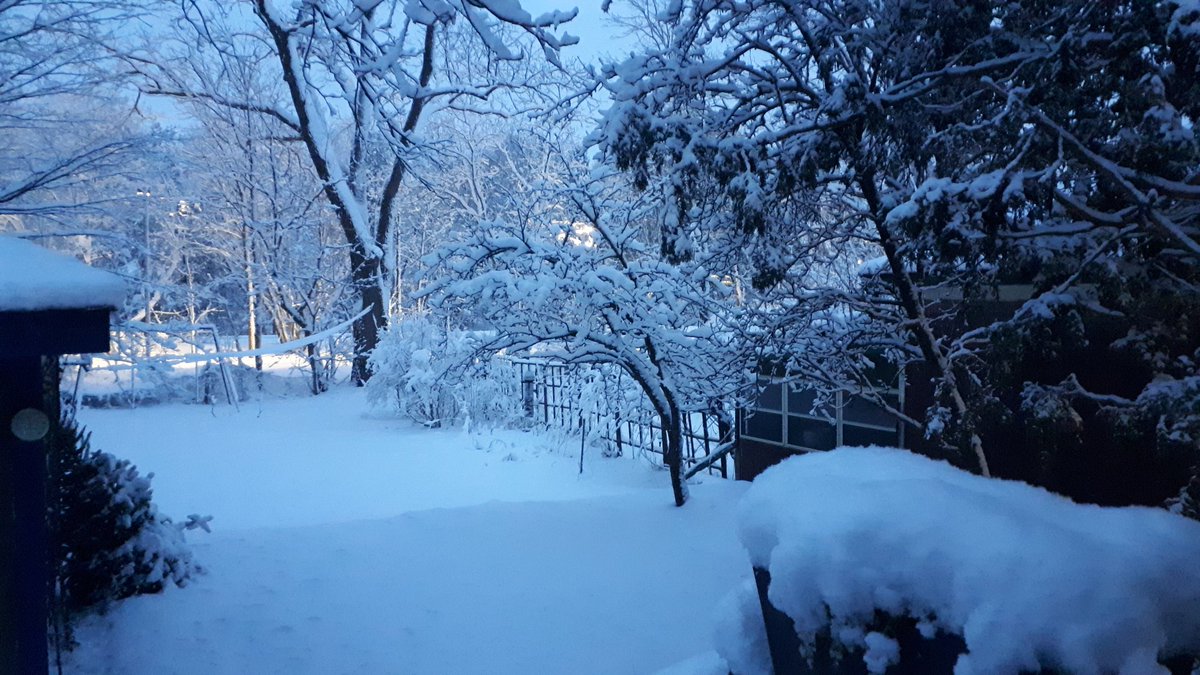 LindaQuirke's tweet photo. Springtime in Canada. 

#MeanwhileInCanada #CanadianProbz https://t.co/DrQE3MYGwe