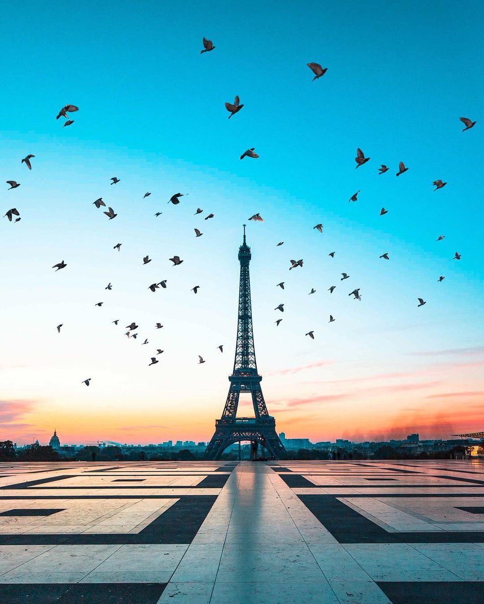 ParisJeTaime's tweet photo. #OnThisDay in 1889, @LaTourEiffel was inaugurated. 😍 Did you know the Iron Lady was built in only 2 years, 2 months &amp; 5 days for the World's Fair of 1889?

Stunnin shot @saaggo #Parisjetaime #Paris #TourEiffel #Eiffel130 📸: https://t.co/x4Yjp3SsvU https://t.co/lZLYLT4JgD