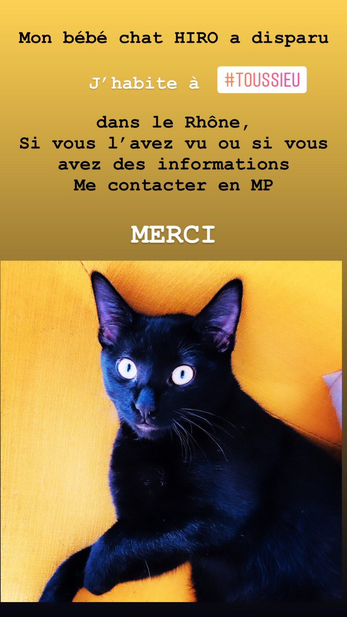 Hiro, mon 🐱 noir a DISPARU. 
Nous habitons chemin de la Madone à Toussieu 69780 (près du stade) 
Il est tout noir, a moins d’un an, pucé et castré. pas de collier.
Si vous l’avez vu ou si vous avez des info merci de m’envoyer un mp
MERCI de partager
#toussieu #chat #disparition