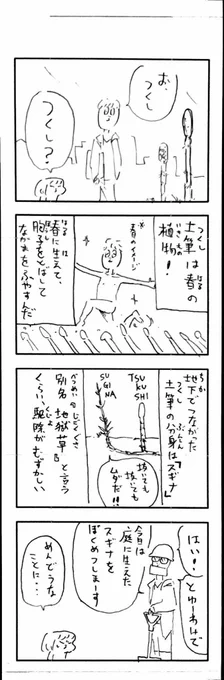 こどもまんが classics お庭の整理〜spring〜? 