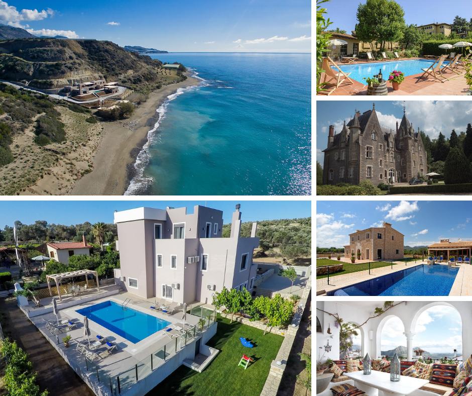 The Big Domain tweet media