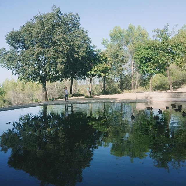 couchesRL's tweet photo. 🦌 Post en photo #1
🌞🌞
.
.
.
.
#montpellier #saintgelydufesc #maman#mamanmontpellier #mamanblogueuse #blogdemaman #viedeparents #viedemaman #blog #mamandejumeaux #herault #enfants #visitmontpellier #nature #naturelovers 💄 #mamzinemontpellier 💄 https://t.co/GIgt6pSuIr https://t.co/KGznHoYPmO