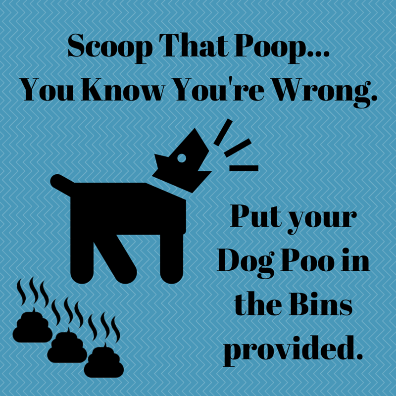 WstLondonGarden's tweet photo. If you are searching for something to do. Please go ahead and #PickUpThatPoo #NoPooLeftBehind https://t.co/q9uABAlrKy