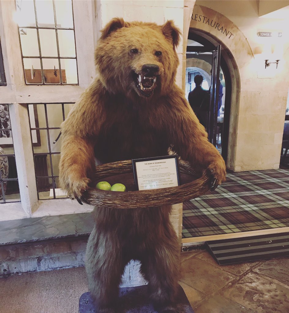 littleyogahut's tweet image. When a bear is waiting for you at checkout...

#bearofrodboroughhotel #studyweekend