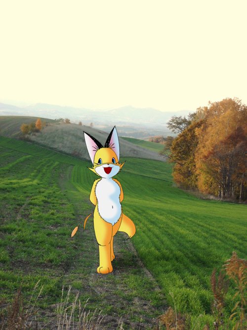 からすうり tweet media