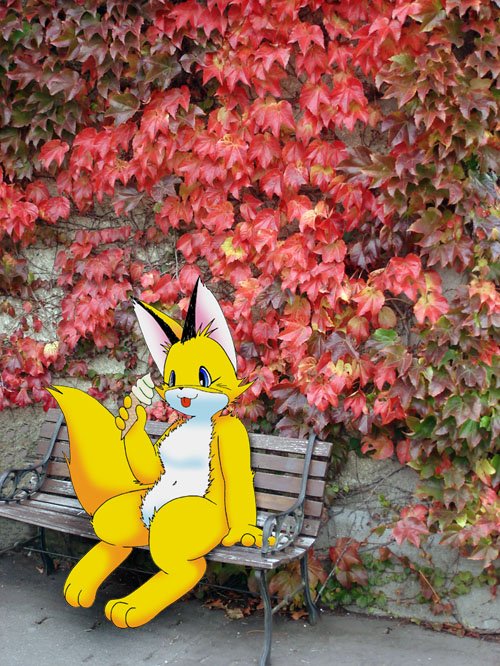 からすうり tweet media