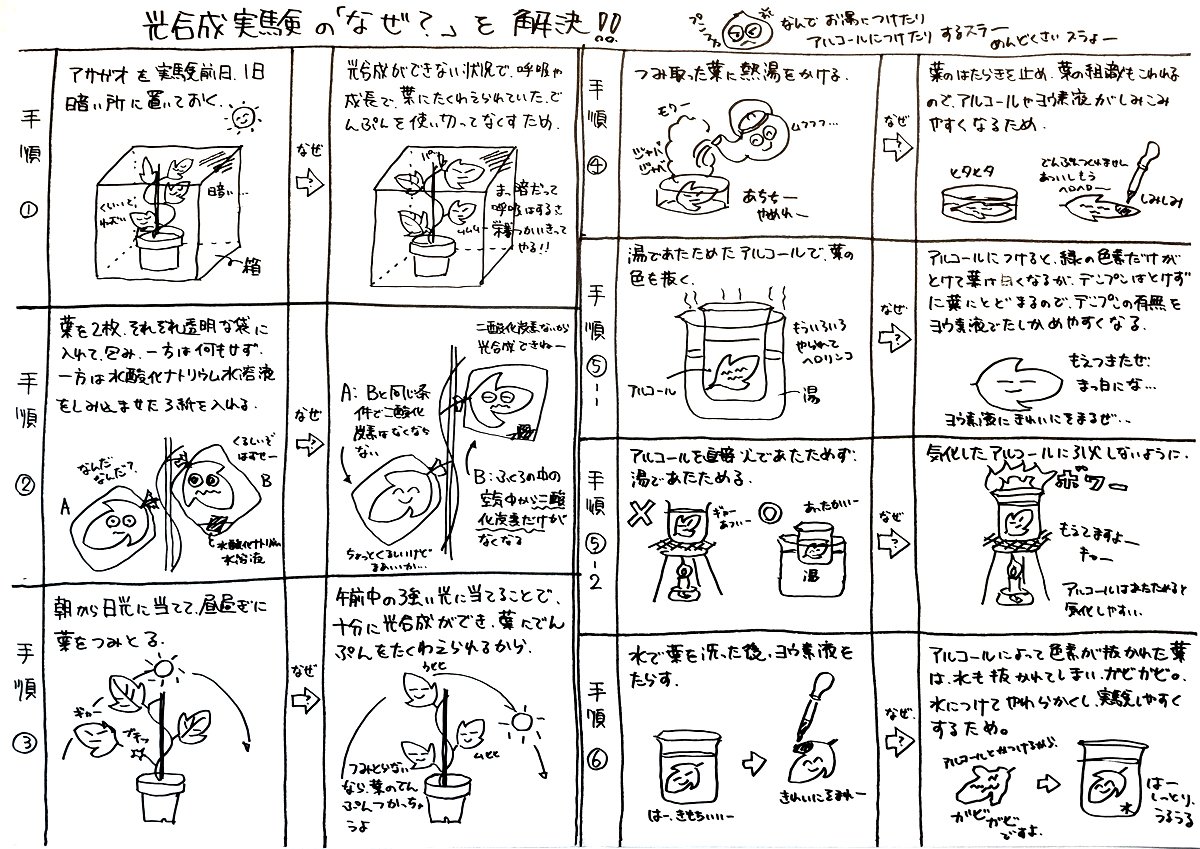 スラニコ 中受の勉強を詰め込みにしない伴走メソッド On Twitter