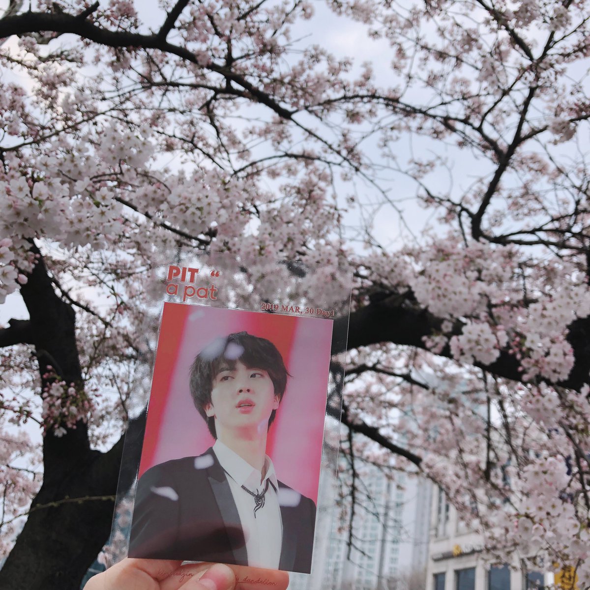 ㅇㅇ tweet media