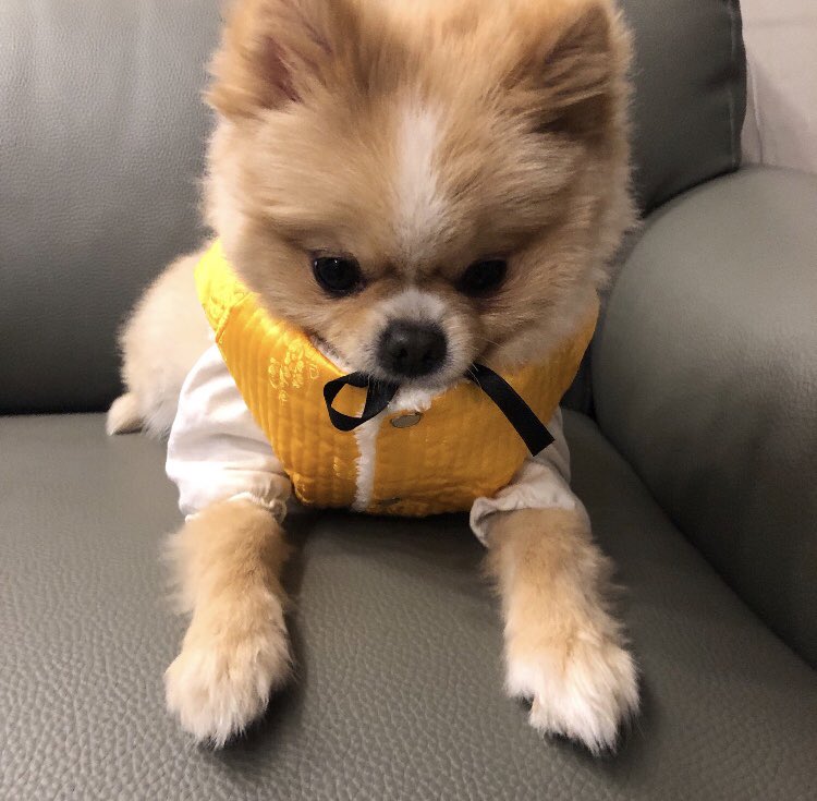 쿵2