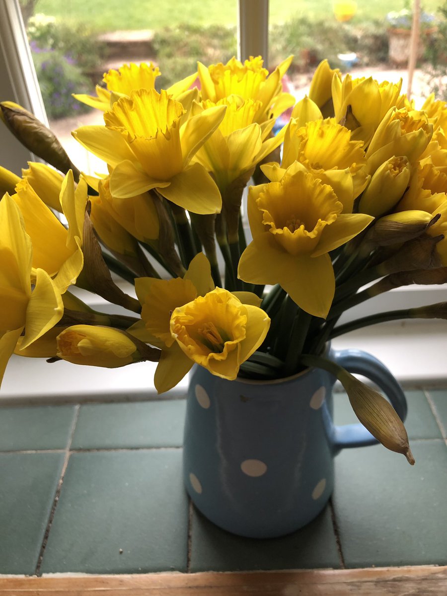 clareweller's tweet photo. Not one, not two but three vases of beautiful blooms! It must be #MotheringSunday 😁❤️ https://t.co/yjAbbasz1m