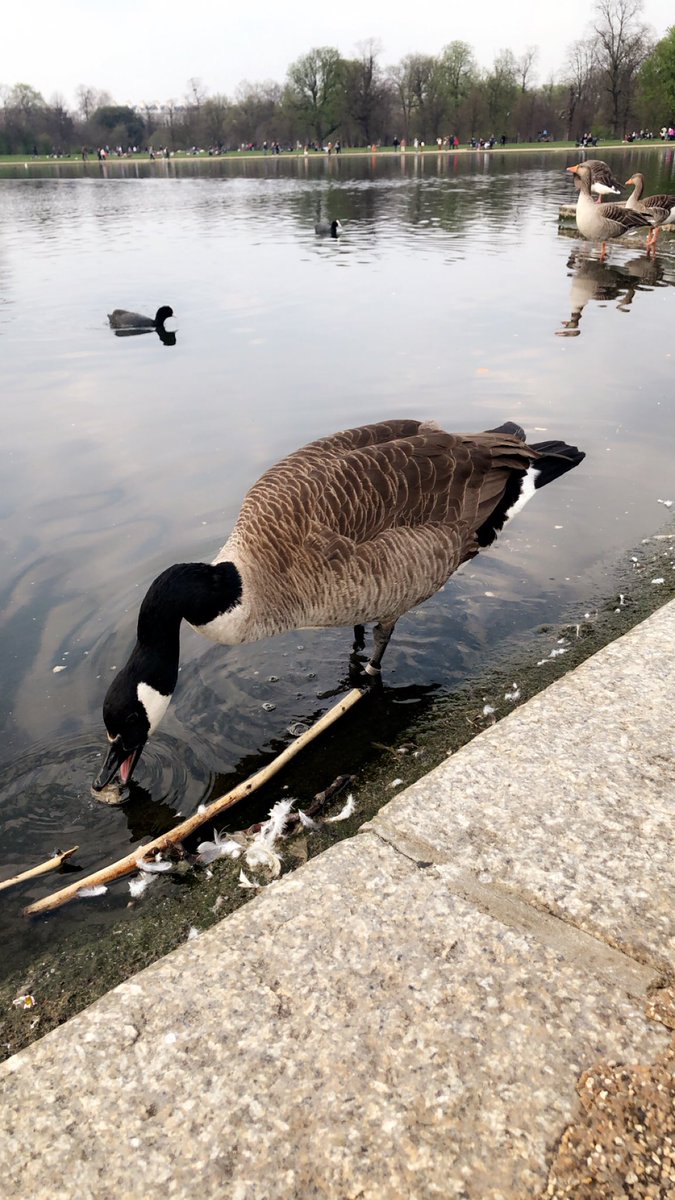 London ❤️💙❤️