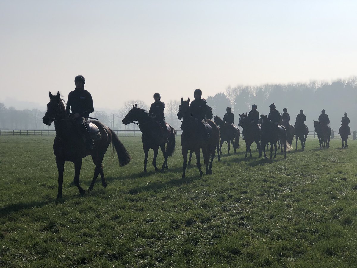 Riella101's tweet photo. Great open morning at Warren Chase with @O_J_murphy91 and The Olly Murphy Racing Club. Beautiful yard and fantastic team. Lovely to see Brewing Up a Storm and Itchy Feet working amongst a host of others #comeracing #omrc #racingclub https://t.co/7cV0OmWd5r