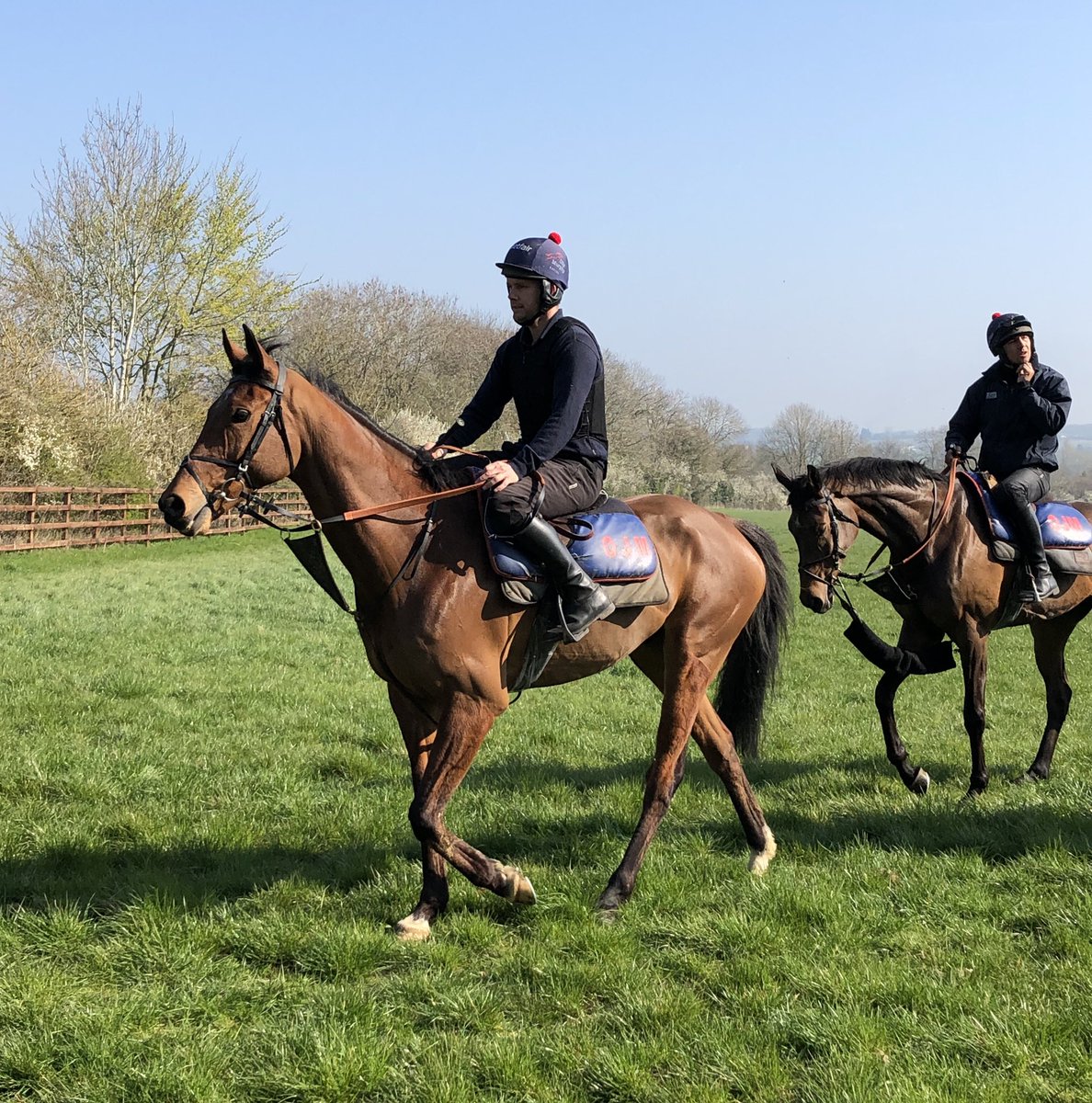 Riella101's tweet photo. Great open morning at Warren Chase with @O_J_murphy91 and The Olly Murphy Racing Club. Beautiful yard and fantastic team. Lovely to see Brewing Up a Storm and Itchy Feet working amongst a host of others #comeracing #omrc #racingclub https://t.co/7cV0OmWd5r