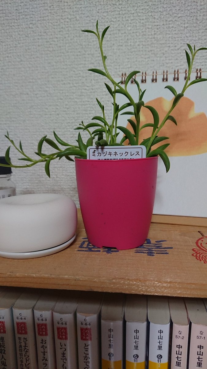 三日月ネックレス 三日月ネックレス