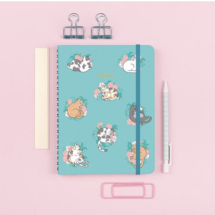 huta_shop's tweet photo. سكتشات موسيري 🤩 
ممتازة للألوان المائية 👌🏻و الجهة الاخرى من الورقة مناسبة لألوان الماركرز 
٣٠٠ جرام 

للطلب تفضلوا بزيارة الموقع 
https://t.co/cx6TWSHKPQ https://t.co/IkNG5WpfZa