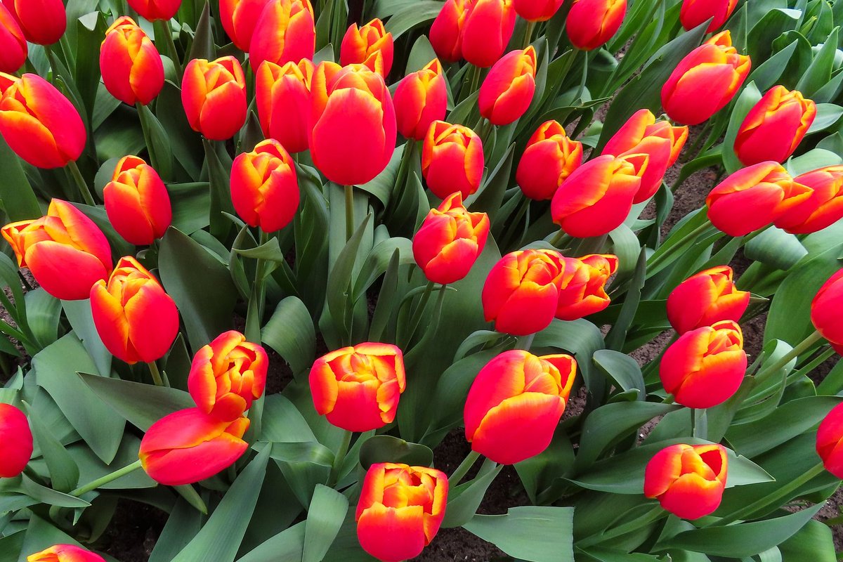 Let Me London East tweet media